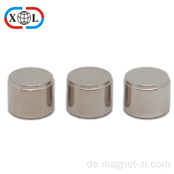 Permanent gesinterte ndfeb Bump Magnet Neodymium